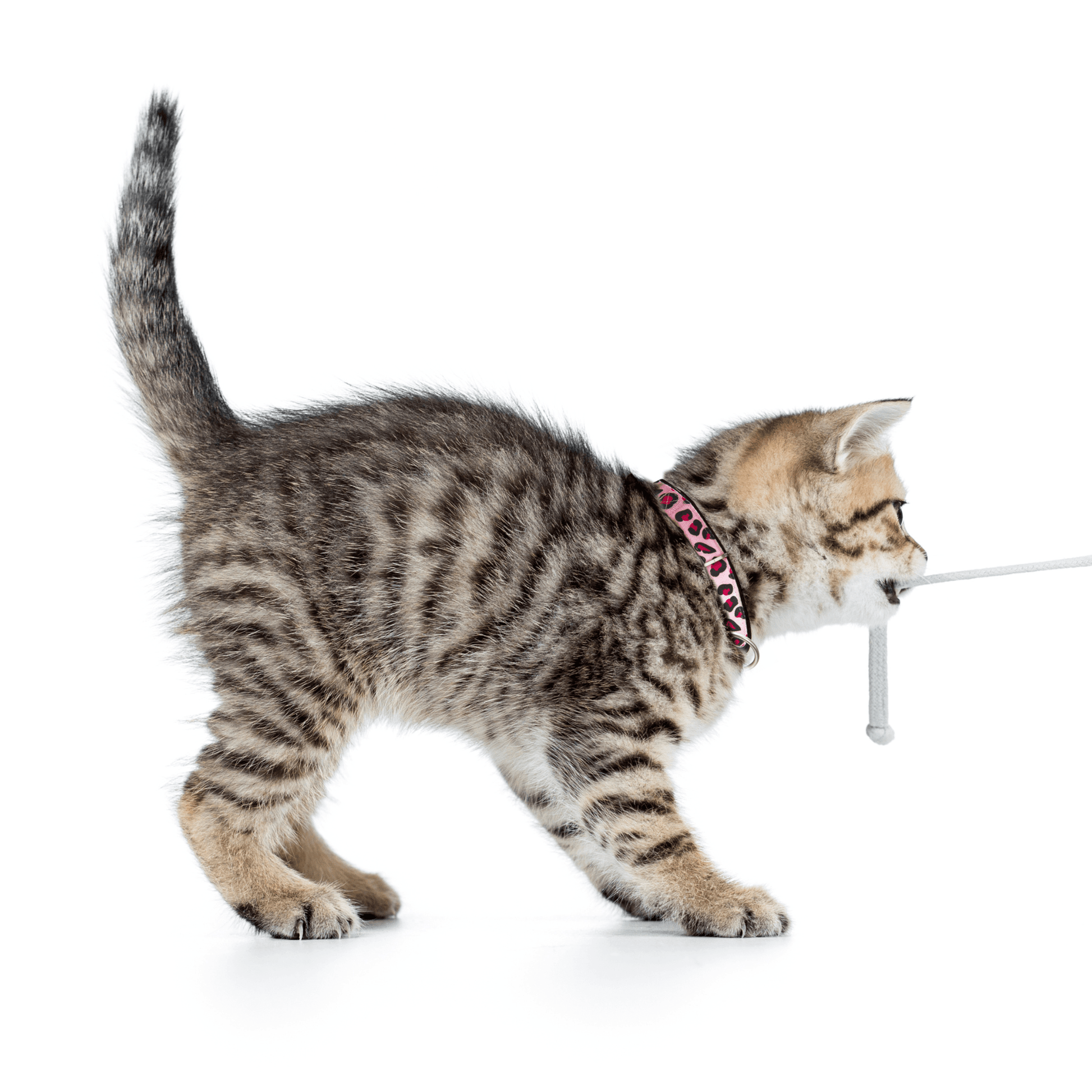 Siguranță și Smart ID pentru zgarda de pisici Leopard Pink