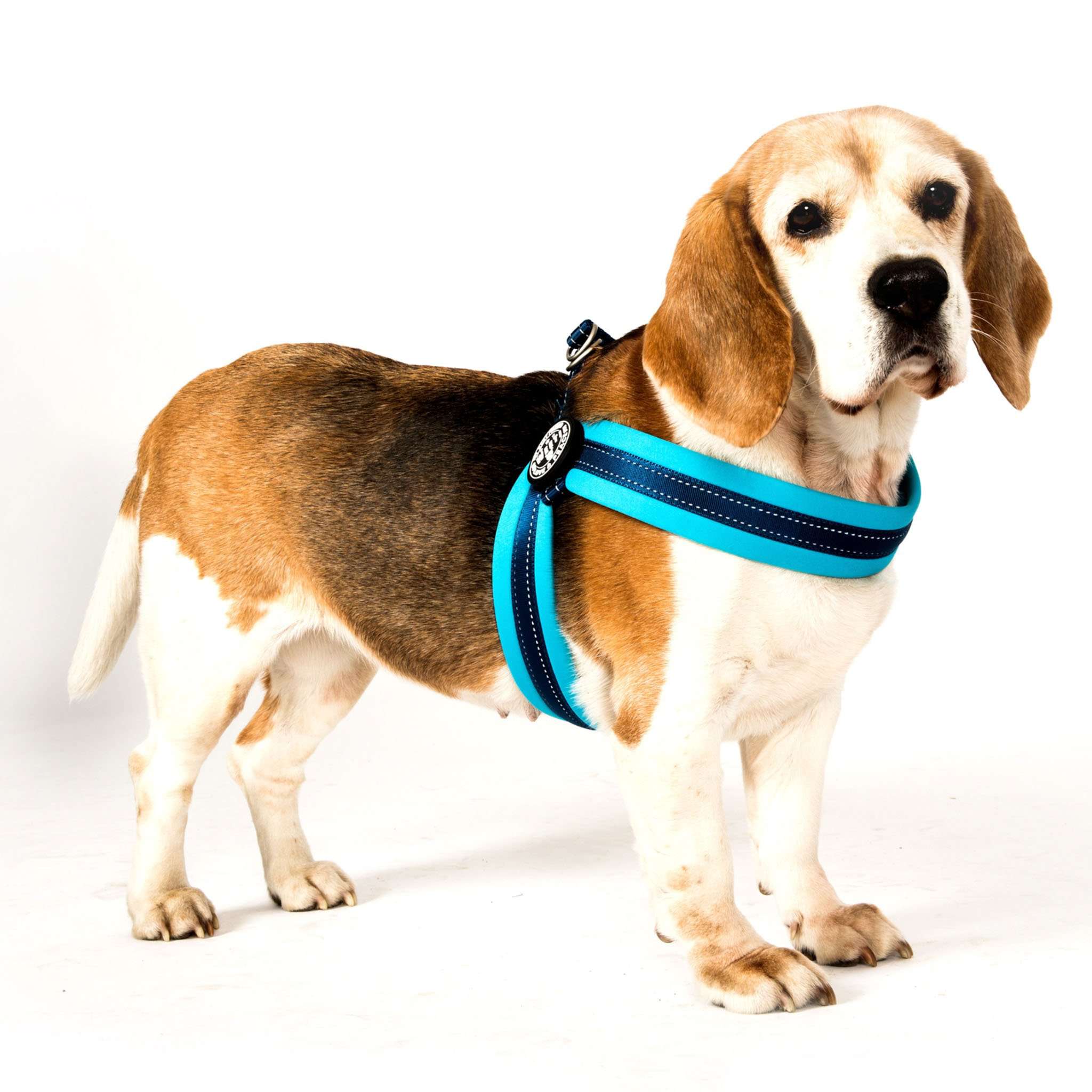 Q-Fit Harness Sky Blue Dog - Max & Molly Urban Pets