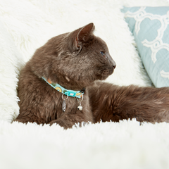 Smart ID Katzenhalsband - Sweet Pineapple