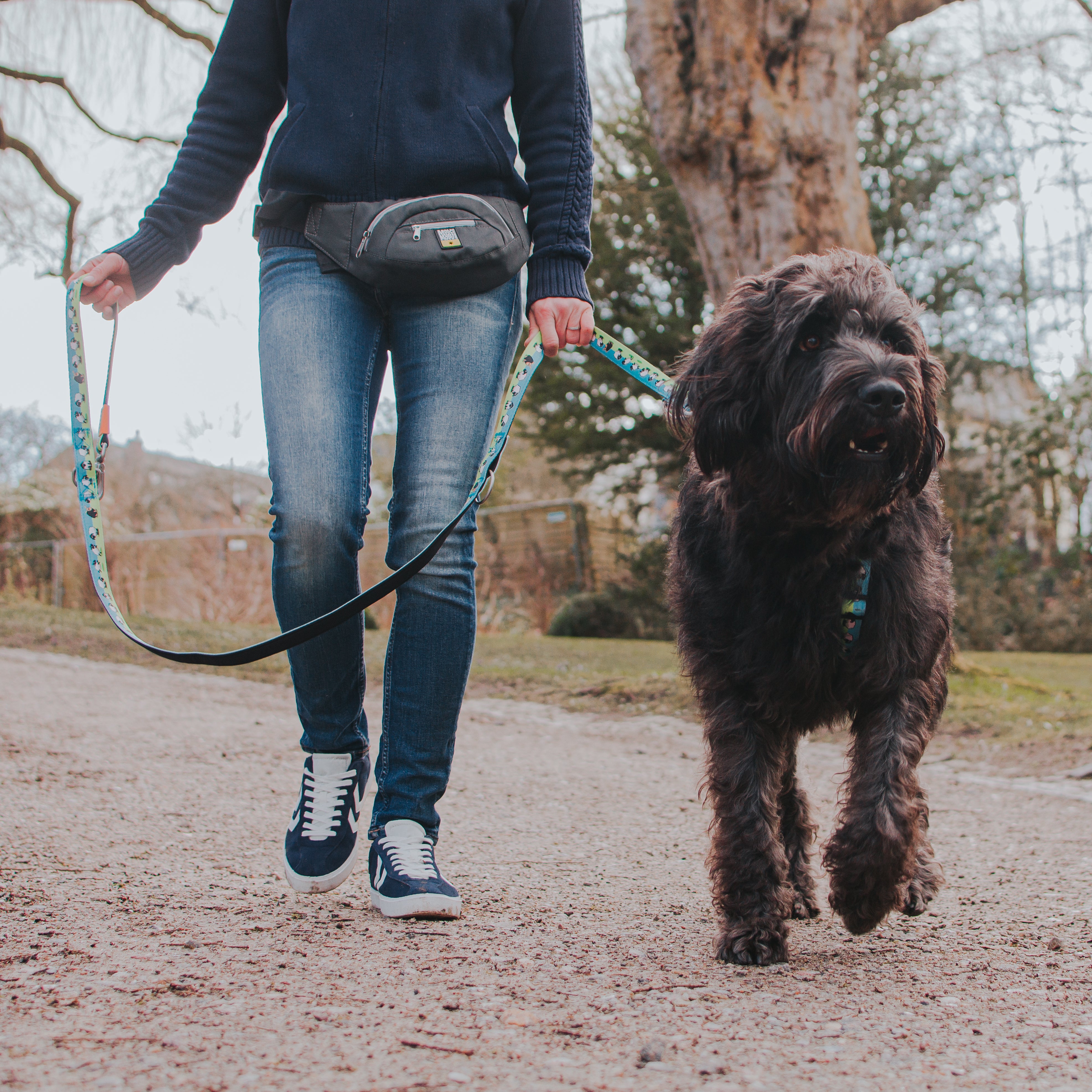 Multi Function Leash Black Sheep Max Molly Urban Pets