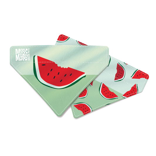 Bandana - Watermelon