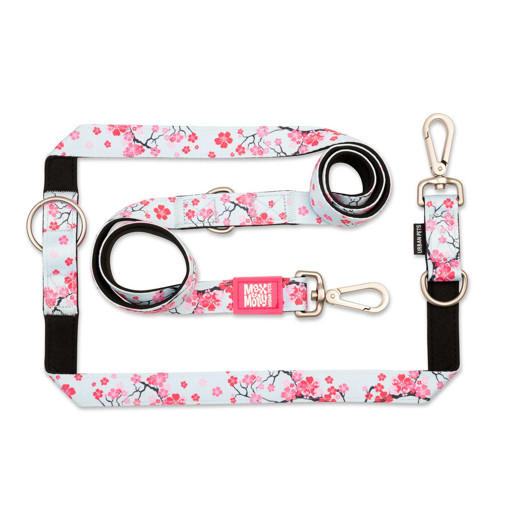 Lucky Love Dog Easy Walker Geschirr – Sommer-Streifen, Verstellbar, Mit Brust- & Rücken-Leinenring, Für Kleine Hunde (XS)
