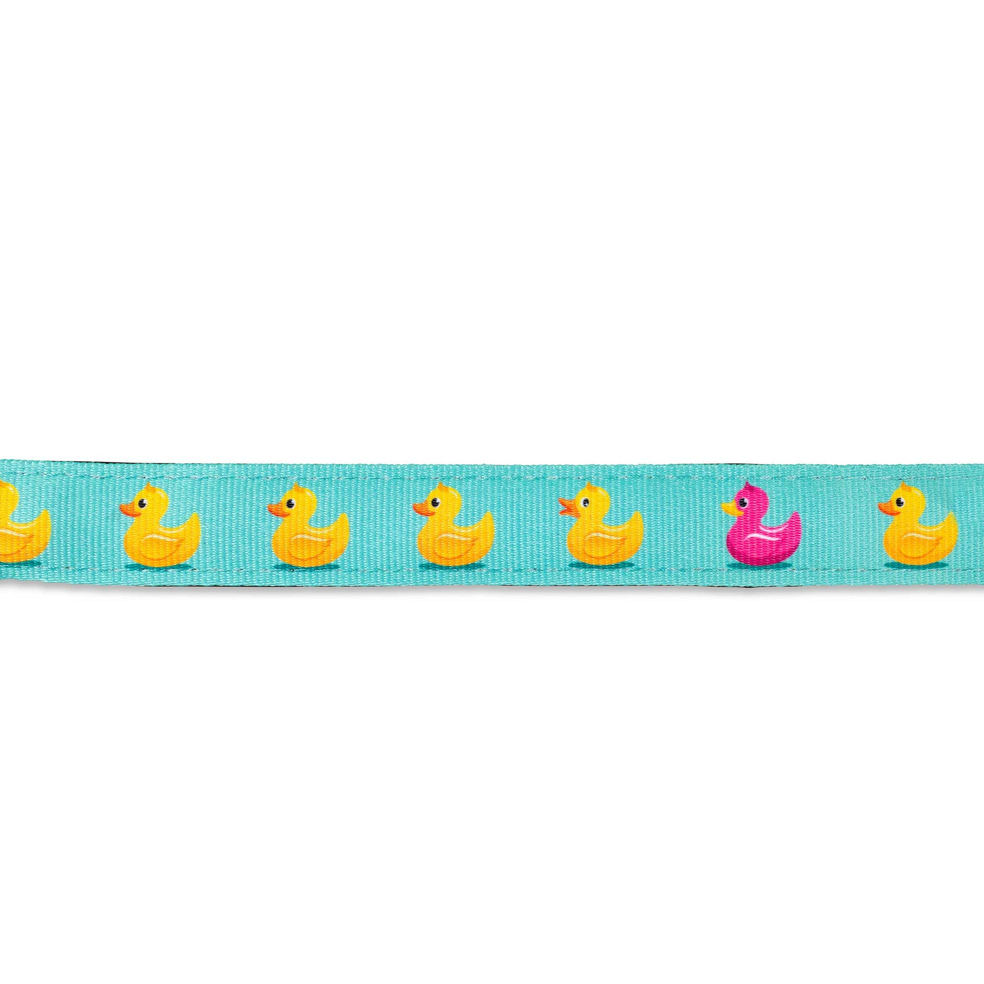 Ham Max & Molly - Ducklings (lifestyle 1)