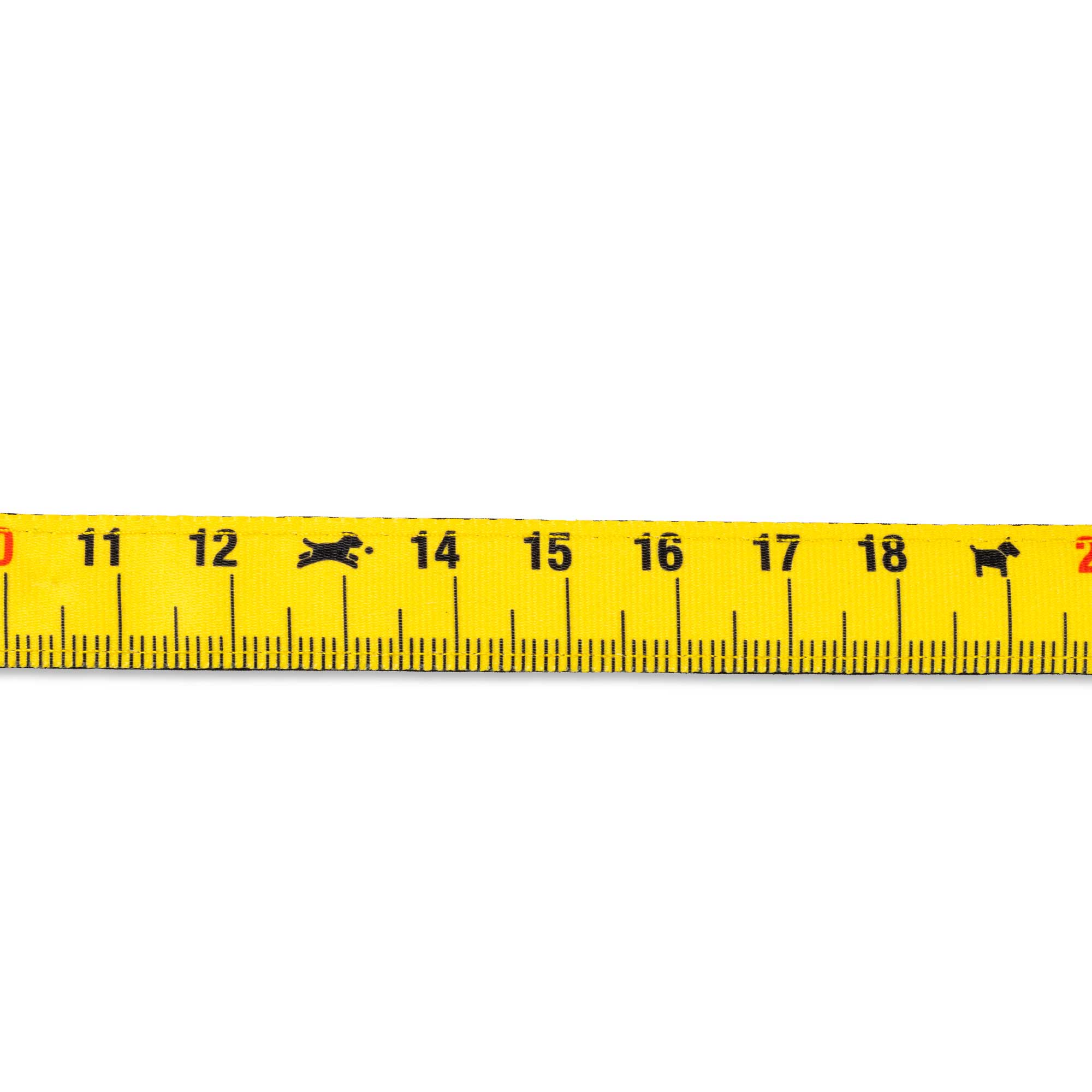 H-Harness - Ruler