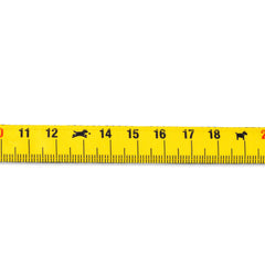 Short Leash - Ruler