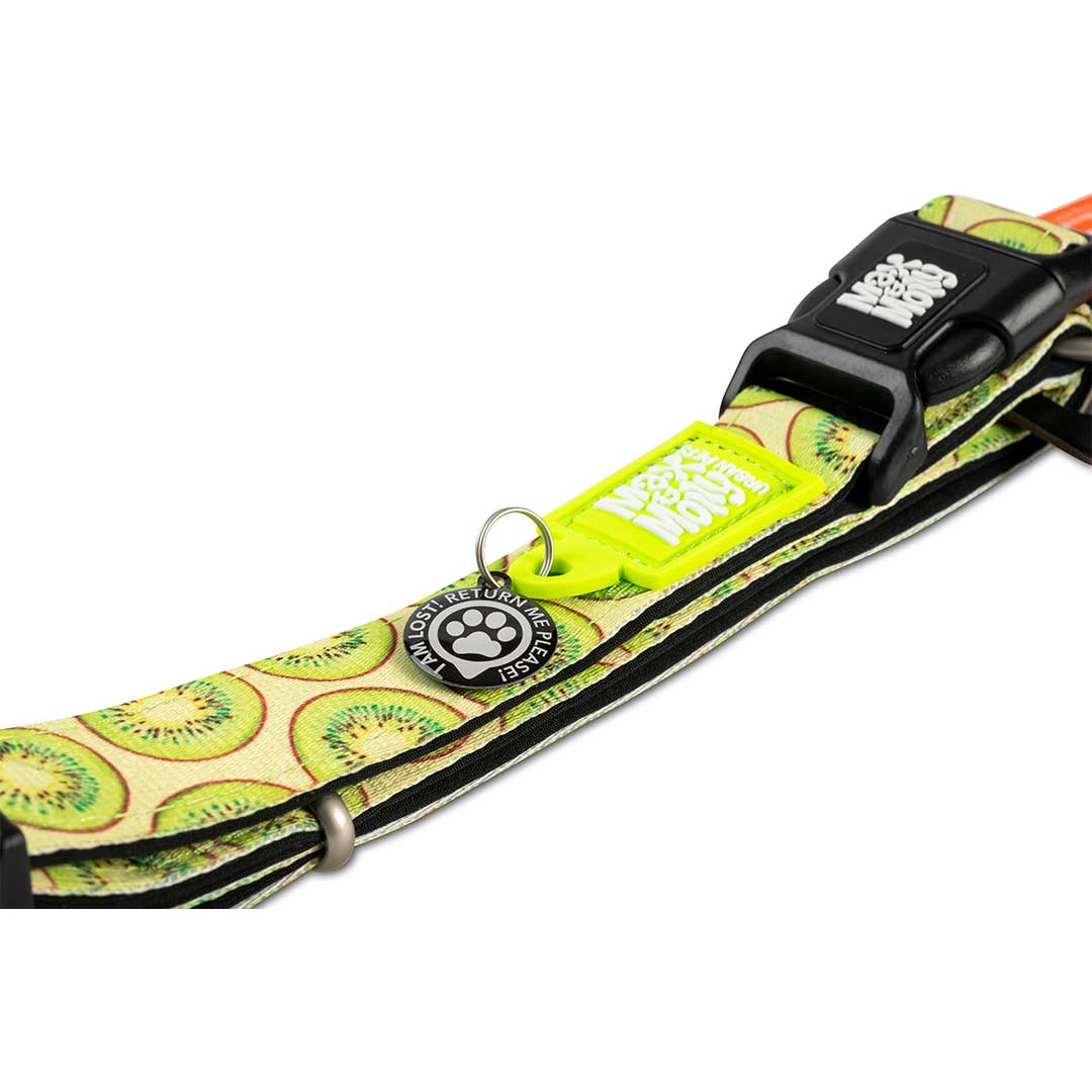 GOTCHA Smart ID Collar Kiwi Max Molly Urban Pets