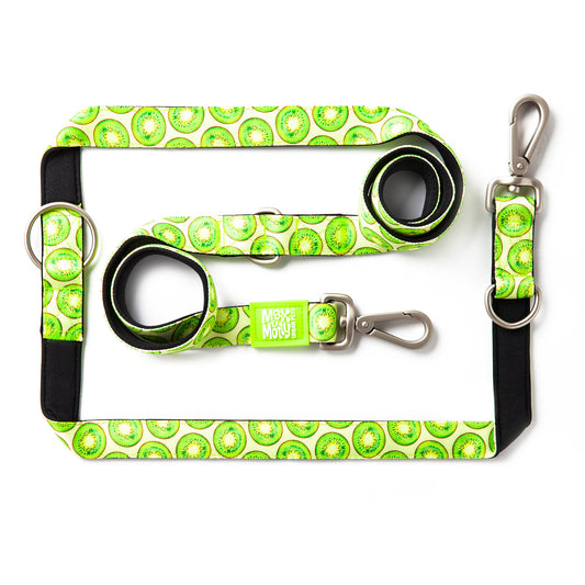 Multi Function Leash - Kiwi