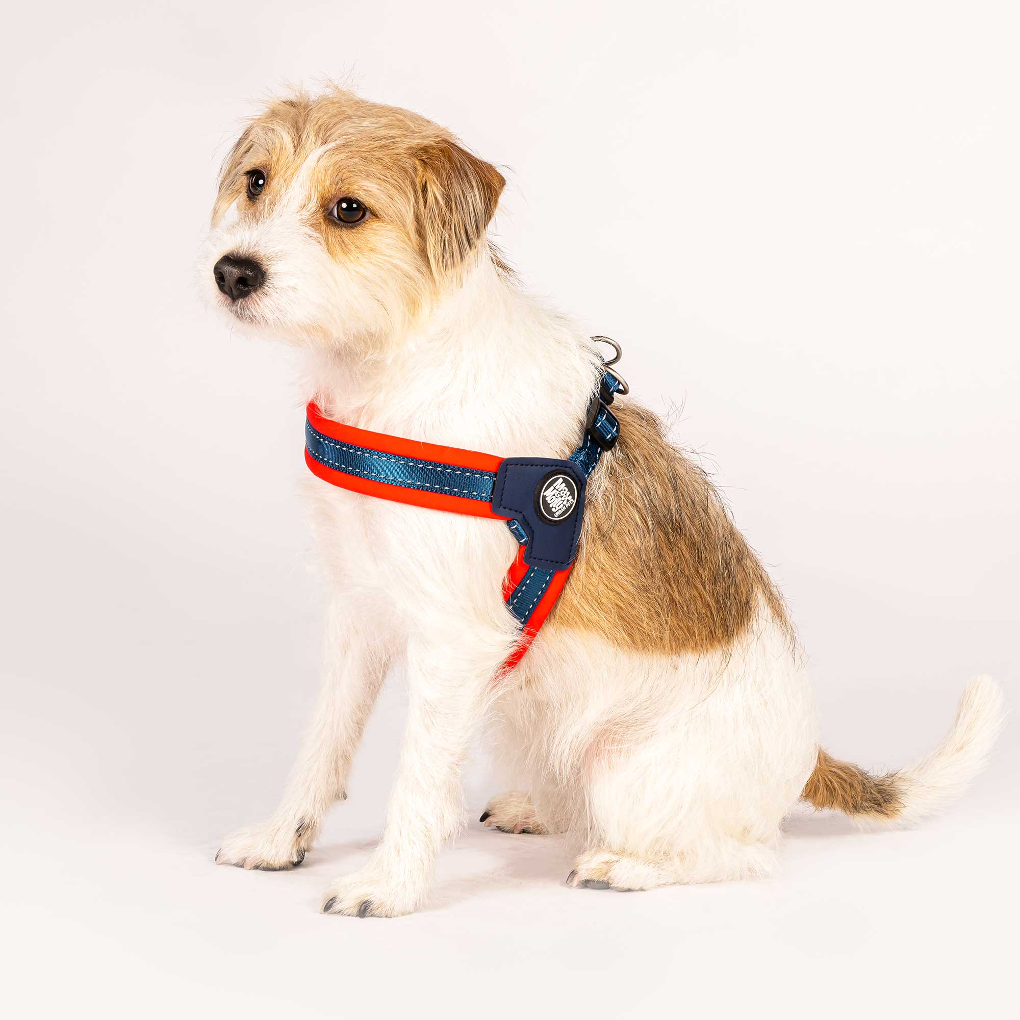 Walk Right Front Connect Dog Harness Walmart Dog Harness In Store