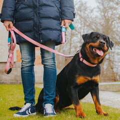 Multi Function Leash - Retro Pink