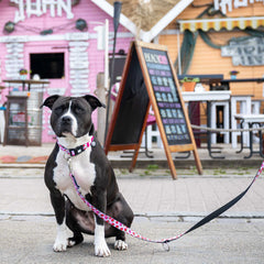 GOTCHA! Smart ID Collar - Strawberry Dream