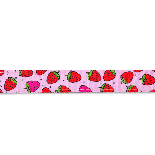 Multi Function Leash - Strawberry Dream