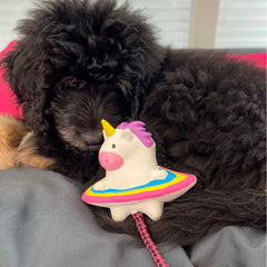 Max & Molly Snuggles - Magic Mikey